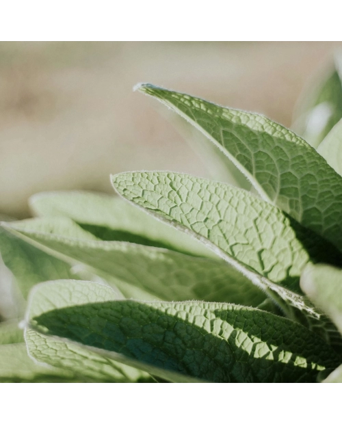 Exfoliant pentru corp DON'T BE SHY, 200ml Laura Baldini